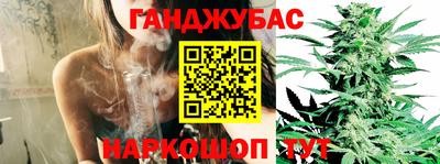МДПВ Гусев