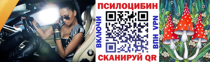 Псилоцибиновые грибы GOLDEN TEACHER  ОМГ ОМГ как войти  Кувандык 